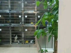-芭比堂动物医院·24小时·眼科中心(深圳中心)