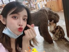 -more than meow吴止猫主题餐厅(承德 中船汇店)