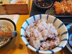 杂粮饭-胜博殿日式炸猪排(西红门店)