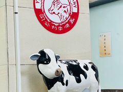 -义顺牛奶公司