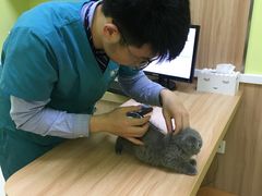 -瑞鹏宠物医院·宠保定点·心脏科·内科(御桥分院)