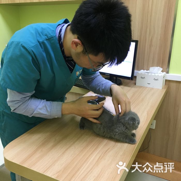 瑞鹏宠物医院(御桥分院)图片 第15张