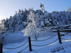 -瓦屋山景区