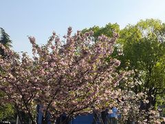 -苏州卫生职业技术学院(石湖校区)