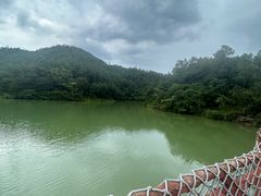 -广州白江湖森林公园