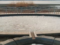 -永定河休闲森林公园