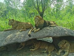 -北京野生动物园