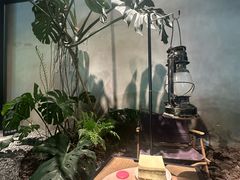 -J Create城市露营咖啡·简餐·宠物(上海动物园店)