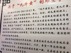 -九斤黄三黄鸡专卖店