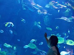 -暹罗海洋世界