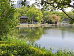 -蠡湖大桥公园