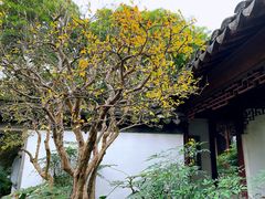 -秋霞圃