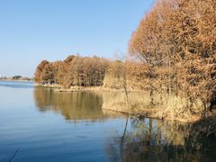 -苏州太湖国家湿地公园