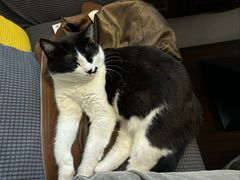 -路易时光(蕴川路店)