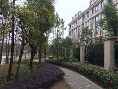 新江湾城公园-新江湾城公园