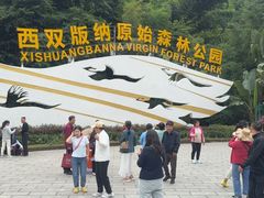 -西双版纳原始森林公园