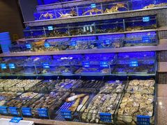 -青蓬蒸汽海鲜·深圳老字号·团建聚会(壹方城店)