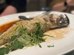 -金悦轩海鲜城(渔人码头店)