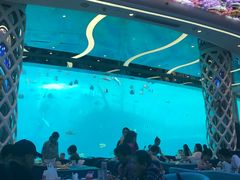 -瑞德姆美人鱼海底演艺主题餐厅(亚龙湾店)