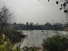 -桤木河湿地公园