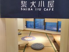-柴犬小屋·柴餐厅·狗咖食堂(金鼎广场店)