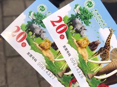 -昆明动物园