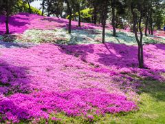 -南通洲际绿博园