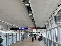 -上海浦东国际机场-T2航站楼