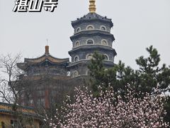 -湛山寺