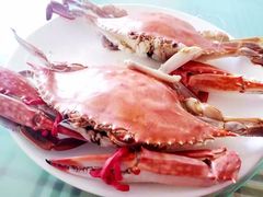 -常家活海鲜小吃(仅一家无分店)