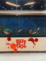 -北京叶子整形美容医院