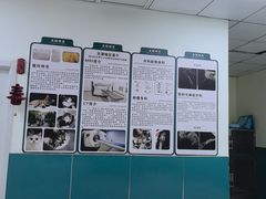 -乖乖宠物医院·猫科·急重症中心(车站北路分院)