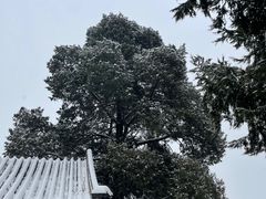 -颐和园