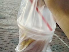 台式荔香乌龙茶-永和大王(凤凰东街店)