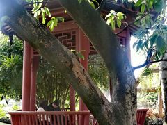 -乌山风景区