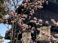 -常熟方塔园