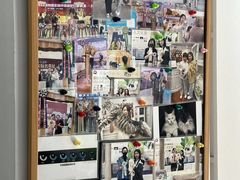 -青奢宠物·青奢猫舍