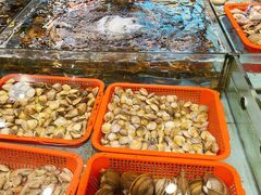 -九號渔港·蒸汽海鲜·粤菜茶点(八卦岭店)