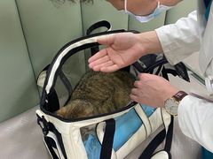 -艾贝尔宠物诊疗