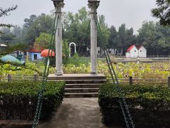 -保定市动物园