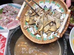 -蘑界·野生菌火锅(深业上城店)