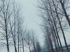 -大别山南武当滑雪场