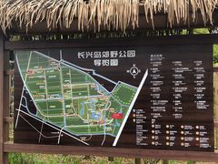 -上海长兴岛郊野公园