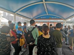 -黄浦江游览快线(金陵东路码头)