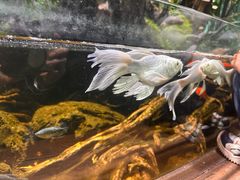 -太平洋海底世界