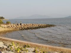-深圳湾公园(南山区)