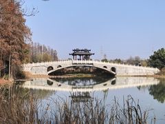 -东湖落雁景区
