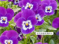 -杭州植物园