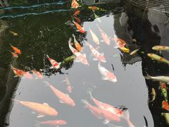 -桃园盛宴·岭南粤菜·手工茶点(南庄店)