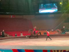 -俄罗斯国家大马戏团